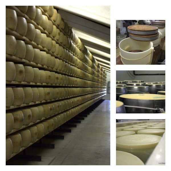 parmigiano reggiano