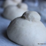 03-IMG_4426