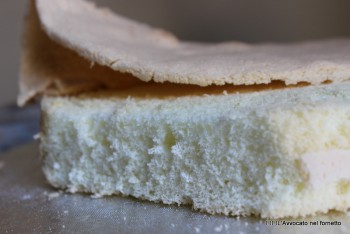 pan di spagna gluten free