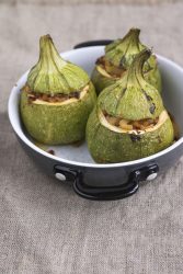 zucchine centenarie